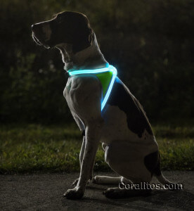 Illuminated-And-Reflective-Dog-Vest-wtm - Illuminated Reflective Dog Vest