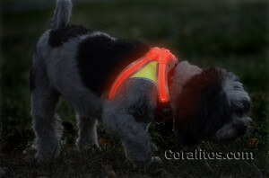 Illuminated Reflective Dog Vest