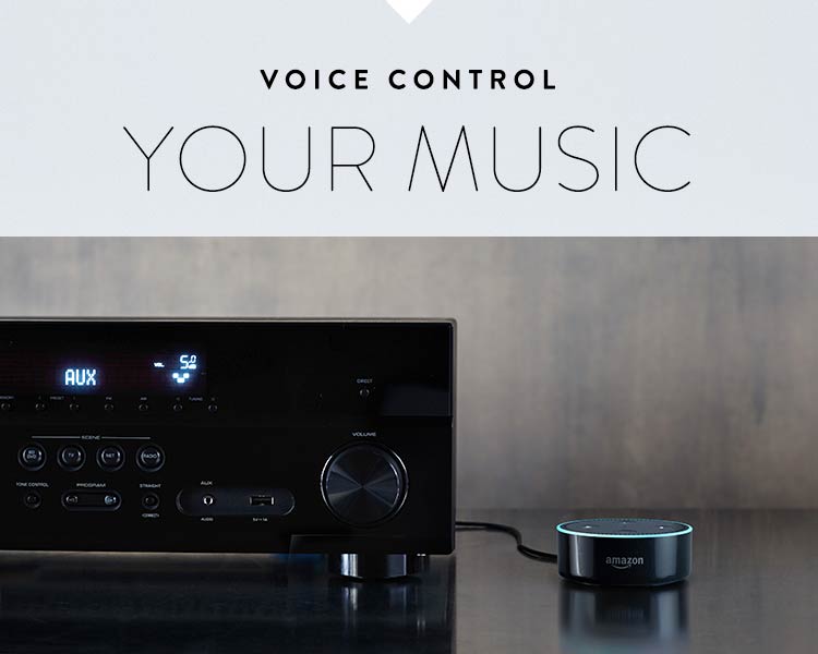 Voice control your music. - All-New Echo Dot