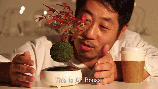 photo Air Bonsai 5_zpsxdnrc5aj.gif - Levitating Air Bonsai Pot